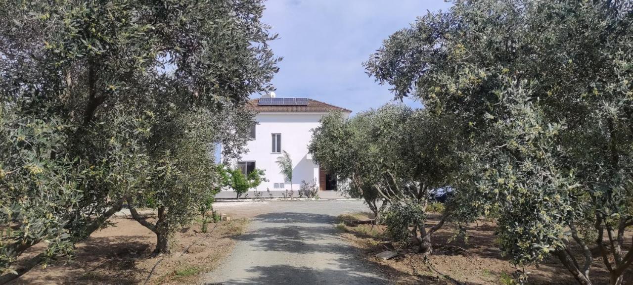 Kiti Village Villa, Cyprus, Salt-Water Pool, 6 Bedrooms, Larnaca Zewnętrze zdjęcie