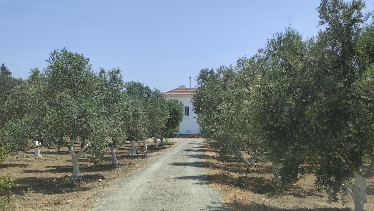Kiti Village Villa, Cyprus, Salt-Water Pool, 6 Bedrooms, Larnaca Zewnętrze zdjęcie