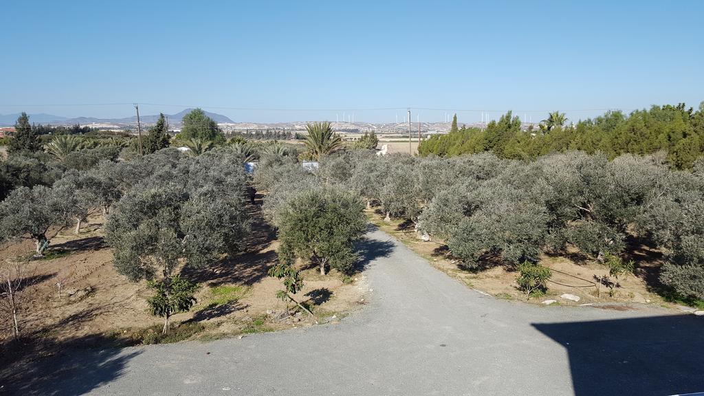 Kiti Village Villa, Cyprus, Salt-Water Pool, 6 Bedrooms, Larnaca Zewnętrze zdjęcie